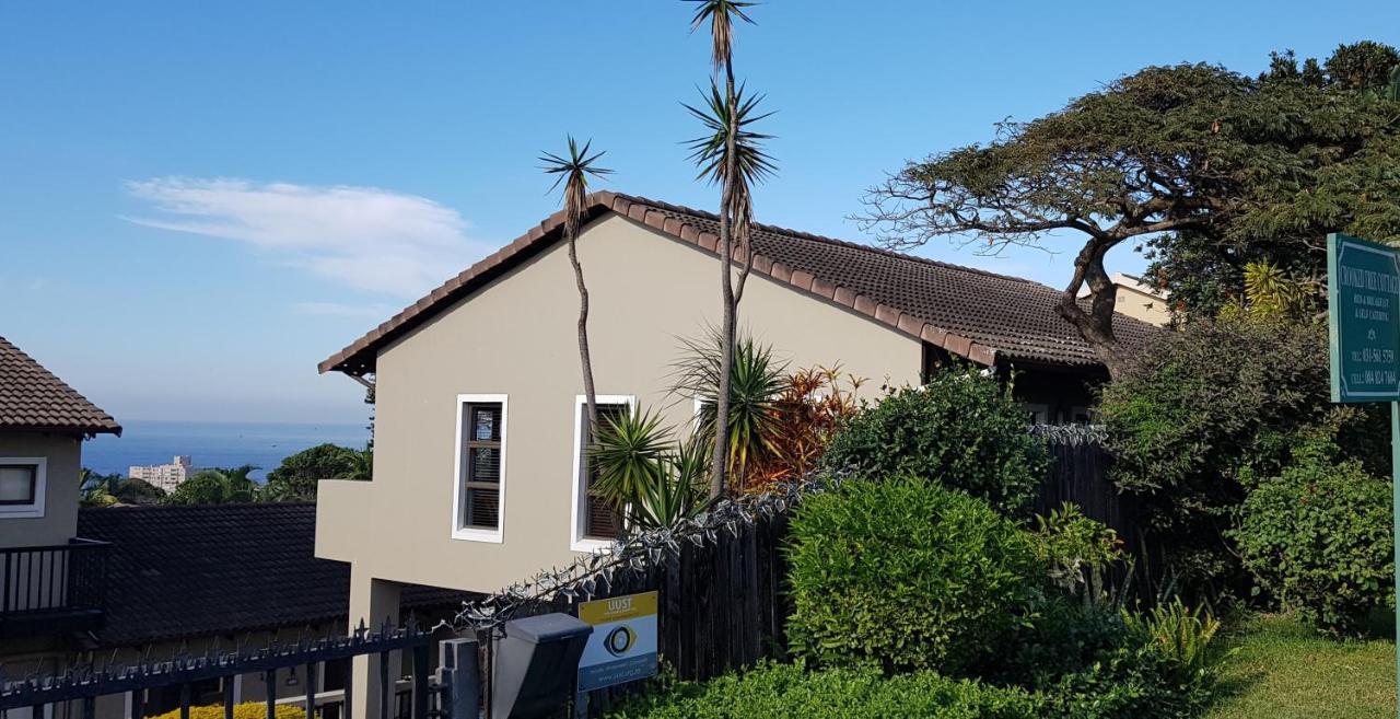 Crooked Tree Cottage Durban Exterior photo